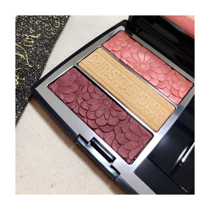 トリオ ブリック パレット<ピュア グロウ>/Dior/アイシャドウパレットを使ったクチコミ(2枚目)