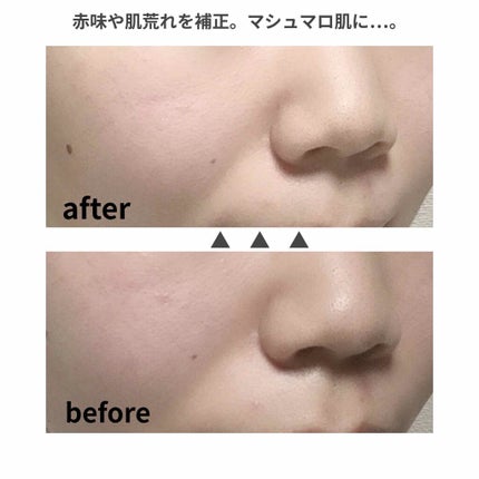 すっぴんメイカー CCパウダー/インテグレート/プレストパウダーを使ったクチコミ(3枚目)