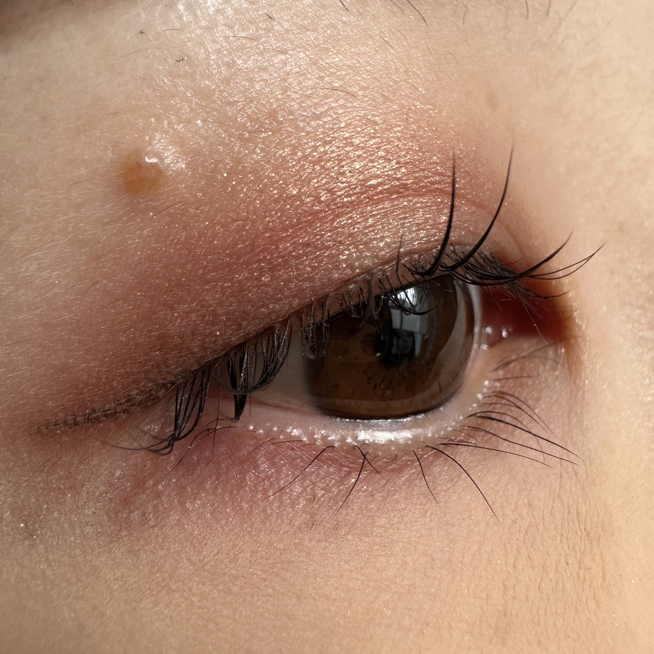 ポップ パウダージェル アイシャドウ/SHISEIDO/単色アイシャドウを使ったクチコミ（2枚目）