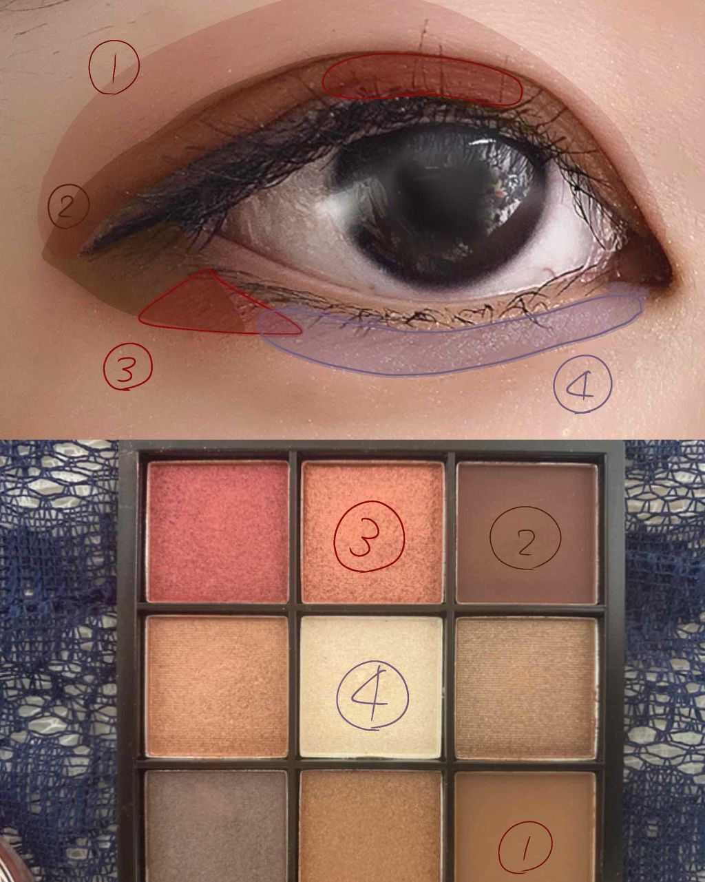 UR GLAM　BLOOMING EYE COLOR PALETTE/U R GLAM/アイシャドウパレットを使ったクチコミ（2枚目）