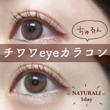 ナチュラリ ワンデー UVモイスチャー ピュア ピュアブラウン/NATURALI/ワンデー（１DAY）カラコンを使ったクチコミ（1枚目）