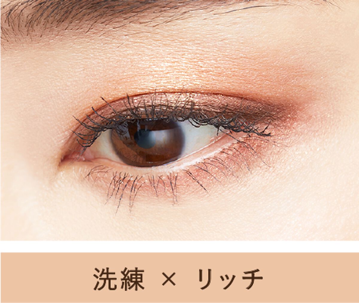 テ・ドルチェシャドウ EX03 アプリコットハニー