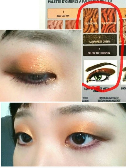 バターアイシャドウパレット/PHYSICIANS FORMULA/アイシャドウパレットを使ったクチコミ(3枚目)