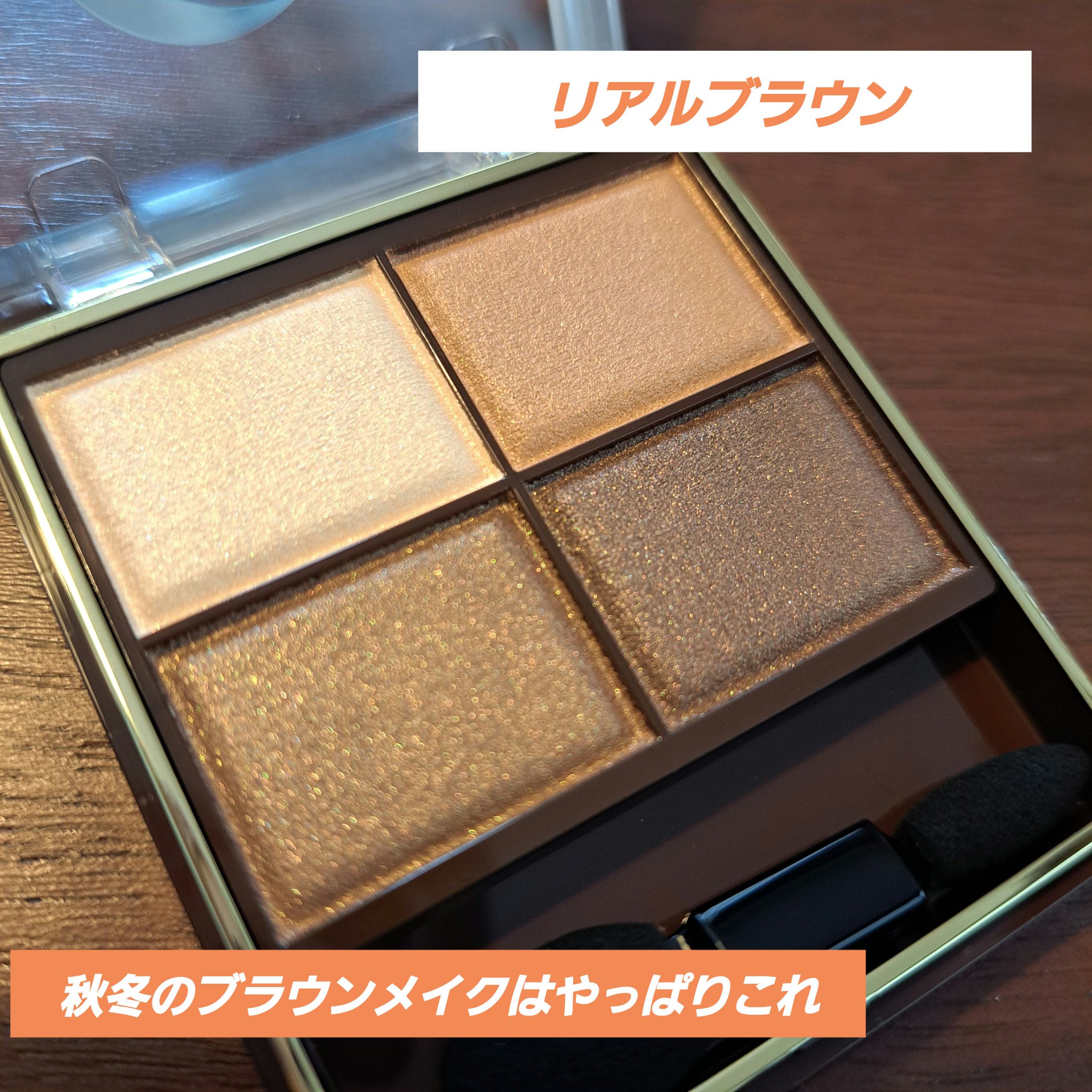 スキニーリッチシャドウ SR02 リアルブラウン/excel/アイシャドウパレットを使ったクチコミ（1枚目）