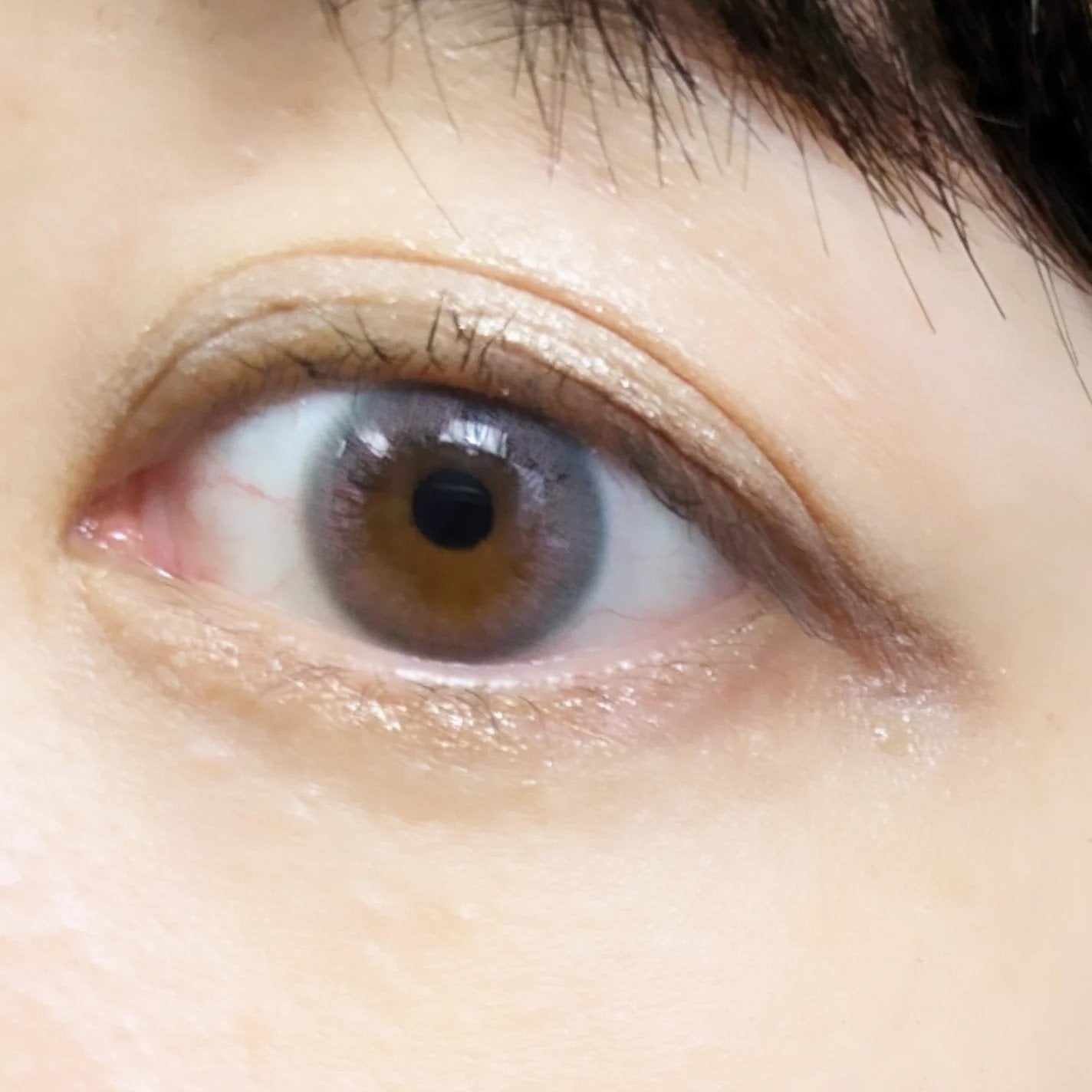 アイカラーパレット/heme/アイシャドウパレットを使ったクチコミ(6枚目)