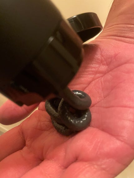 シルクザリッチ【スカルプ&リペア】《ムードナイトムスクの香り》/SILK THE RICH/市販シャンプーを使ったクチコミ(3枚目)