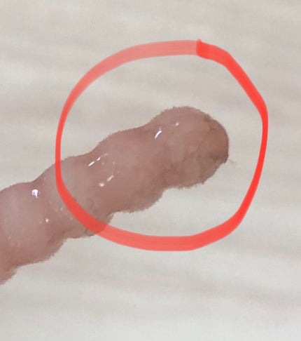 ラッシュジェリードロップ EX/MAJOLICA MAJORCA/まつげ美容液を使ったクチコミ(4枚目)