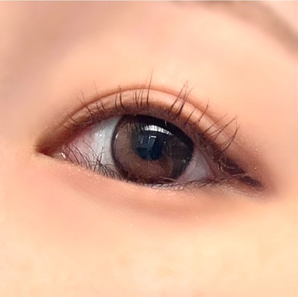 Secretive Kristen/Hapa kristin/カラーコンタクトレンズを使ったクチコミ(5枚目)