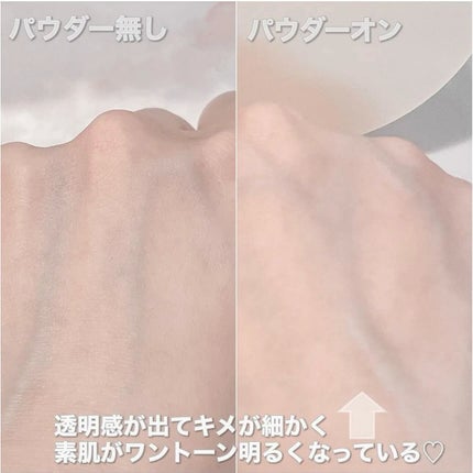 バイオムバリアエッセンスインパウダー/UIQ/ルースパウダーを使ったクチコミ(3枚目)