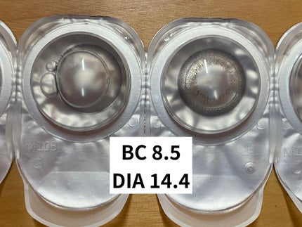 Angelcolor Bambi Series 1day  パールグレー/AngelColor/ワンデー(1DAY)カラコンの画像