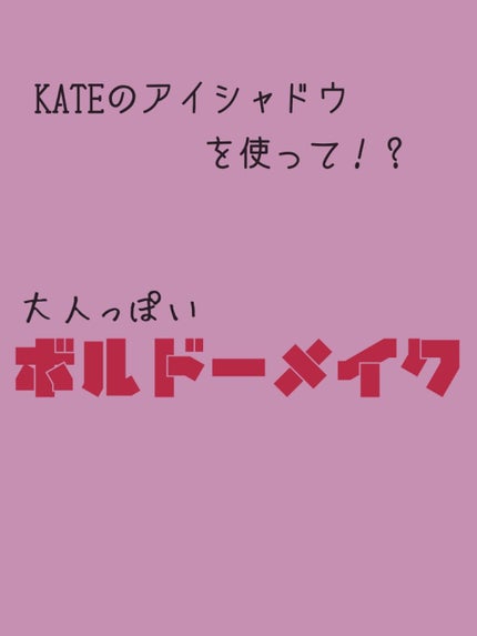 ダークローズシャドウ/KATE/アイシャドウパレットを使ったクチコミ(1枚目)