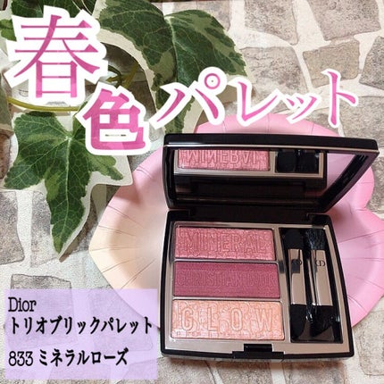 トリオ ブリック パレット/Dior/アイシャドウパレットを使ったクチコミ(1枚目)