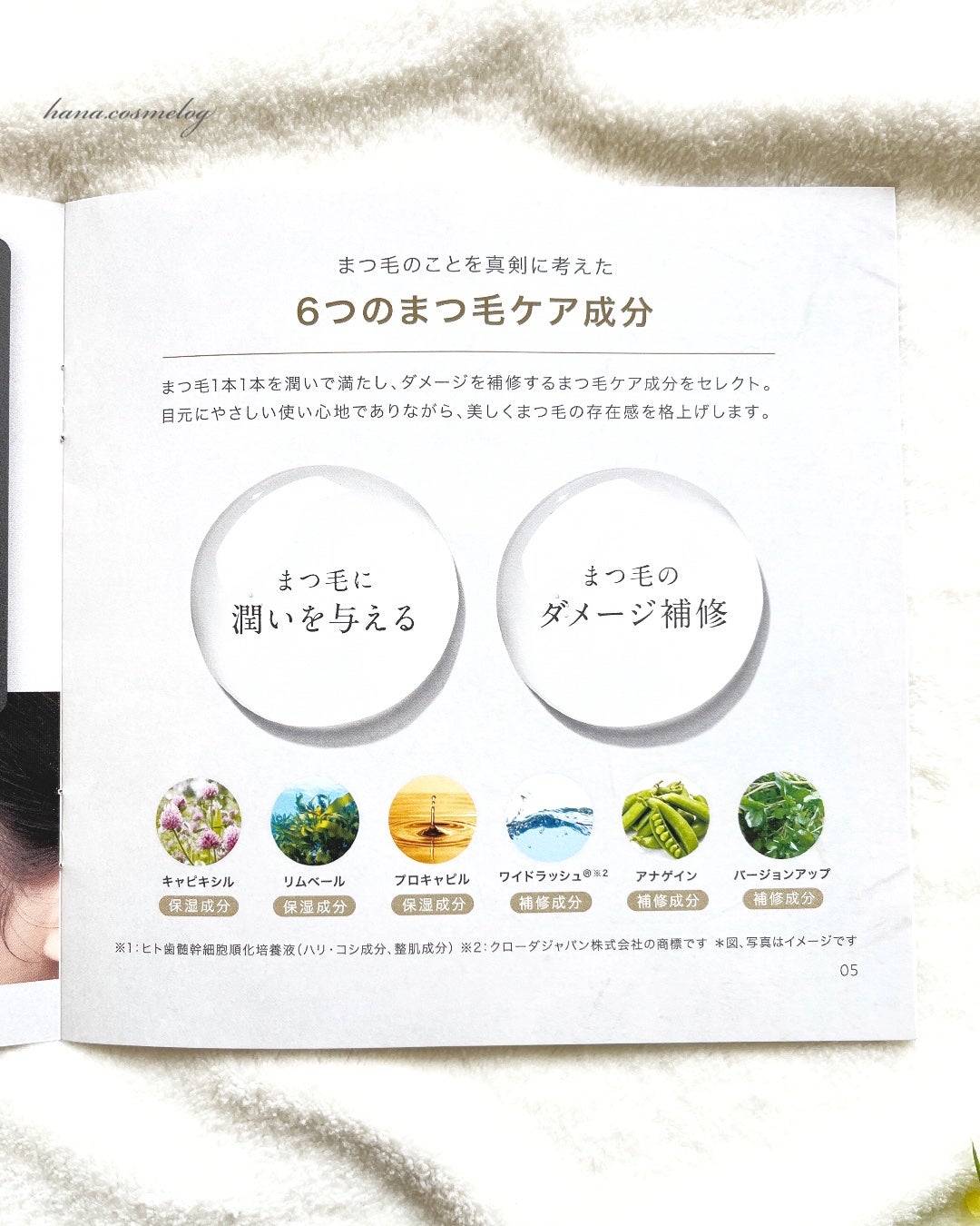 アイラッシュセラム/BASATTO/まつげ美容液を使ったクチコミ(2枚目)