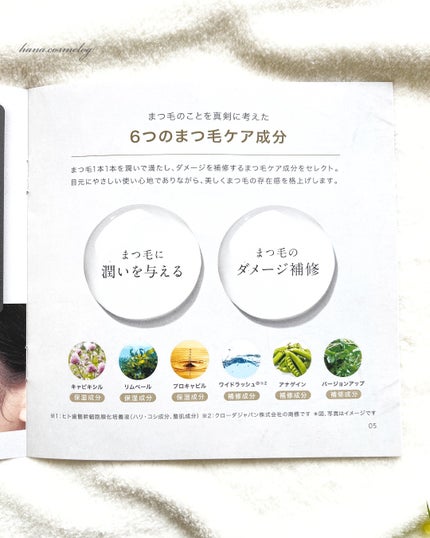 アイラッシュセラム/BASATTO/まつげ美容液を使ったクチコミ(2枚目)