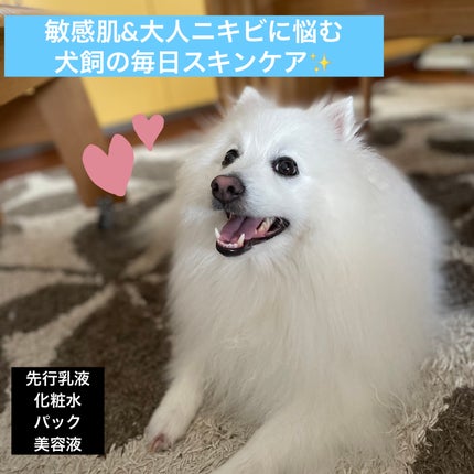 ホワイトニング ミルク I/IGNIS/乳液を使ったクチコミ(1枚目)