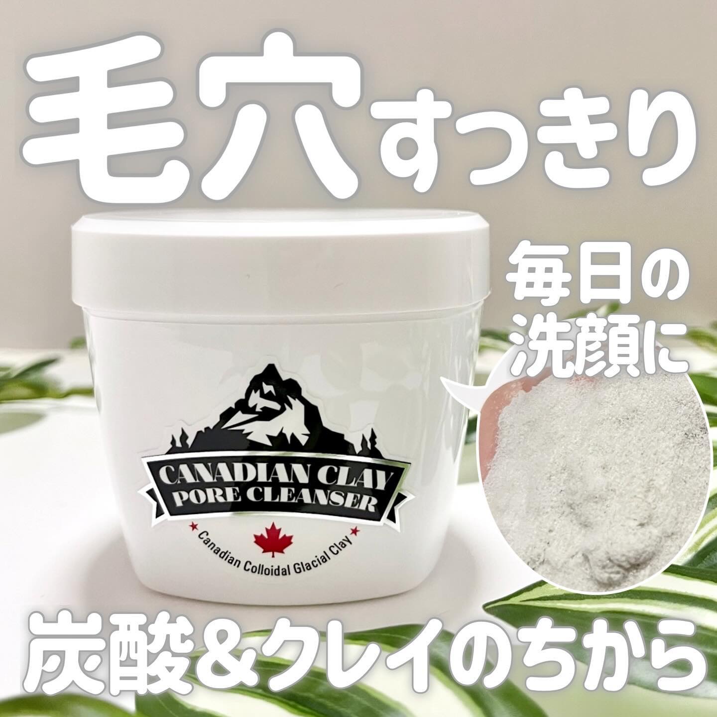 カナディアンクレイ ポア クレンザー/NEOGEN/洗い流すパック・マスクを使ったクチコミ（1枚目）