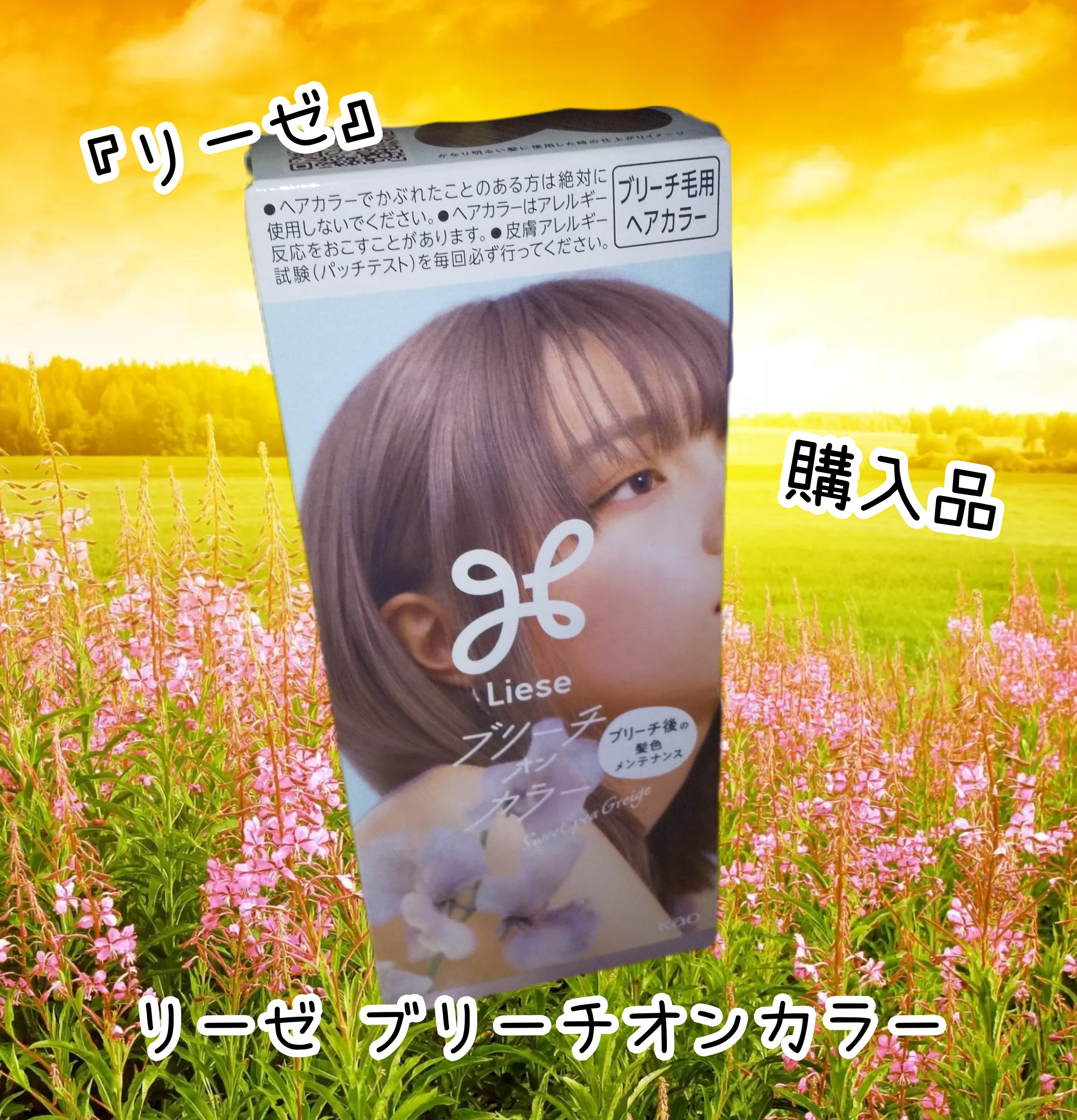 リーゼ ブリーチオンカラー/リーゼ/ヘアカラーを使ったクチコミ（1枚目）