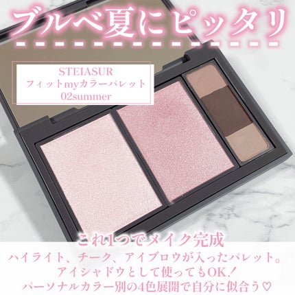 フィット my カラーパレット/STEIASUR(ステイアシュール)/マルチパレットを使ったクチコミ(2枚目)