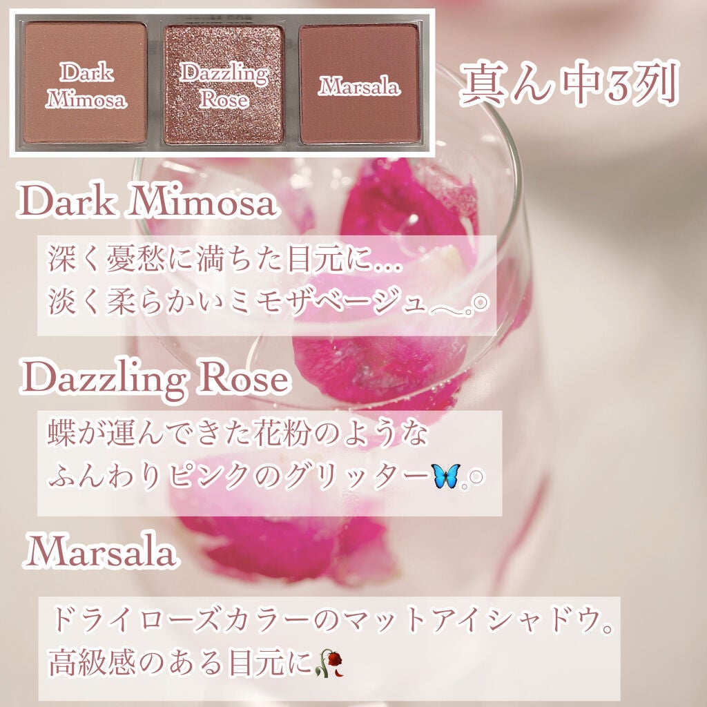 ニューアテンプトシャドウパレット/SISTER ANN/アイシャドウパレットを使ったクチコミ(5枚目)