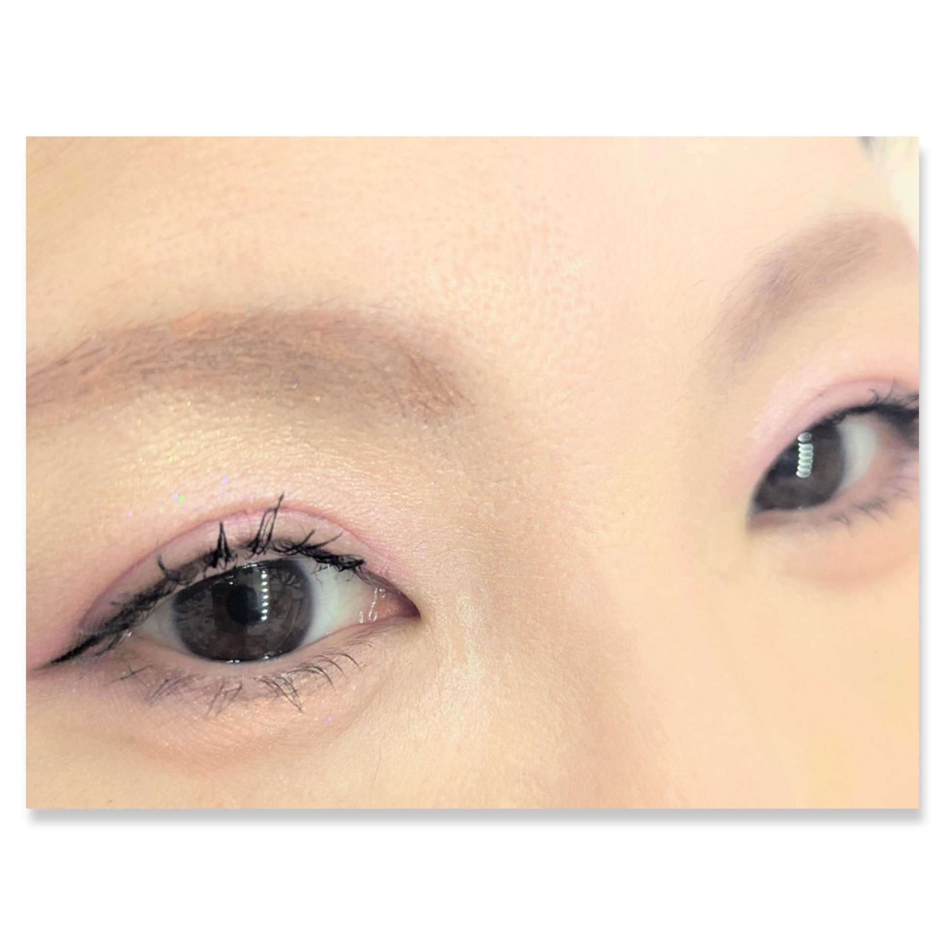 バブアイカラーパレット/minum/アイシャドウパレットを使ったクチコミ（2枚目）