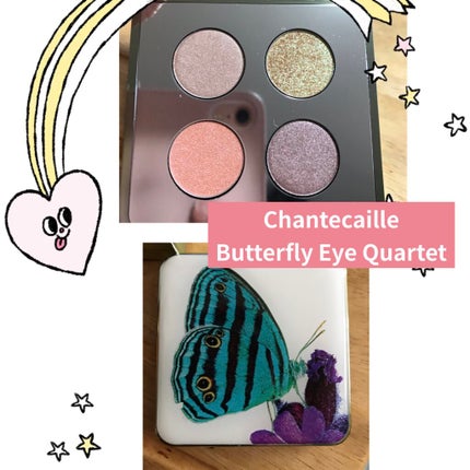 Butterfly Eye Quartet/シャンテカイユ/アイシャドウパレットを使ったクチコミ(1枚目)