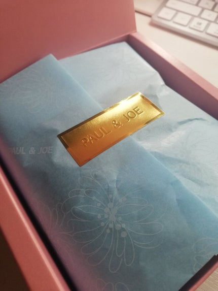 リップスティック トリートメント/PAUL & JOE BEAUTE/リップケアを使ったクチコミ(5枚目)