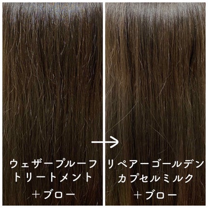 ãªãã¢ãŒ ãŽãŒã«ãã³ ã«ãã»ã« ãã«ã¯/ãã³ããŒã³/ãã¢ãã«ã¯ã䜿ã£ãã¯ãã³ãïŒ4æç®ïŒ