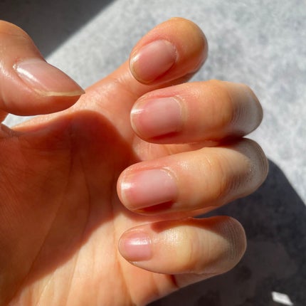 èªçªè£åŒ·ã³ãŒã/ãã¥ã«ãŒã/ãã€ã«ããŒã¹ã³ãŒãã䜿ã£ãã¯ãã³ãïŒ6æç®ïŒ