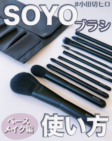 SOYO ディスカバー フルセット （10本＋ケース付）｜SOYOの口コミ 