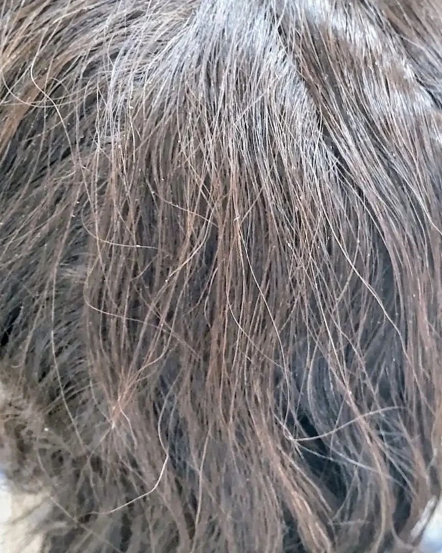 OR スパ・シャンプー/ヘアトリートメント シルキーナイトリペア/Off&Relax/市販シャンプーを使ったクチコミ(5枚目)