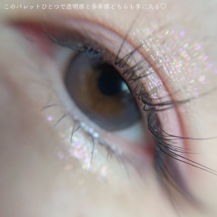 マルチユースシャドウパレット/RULIDIA/アイシャドウパレットを使ったクチコミ(5枚目)