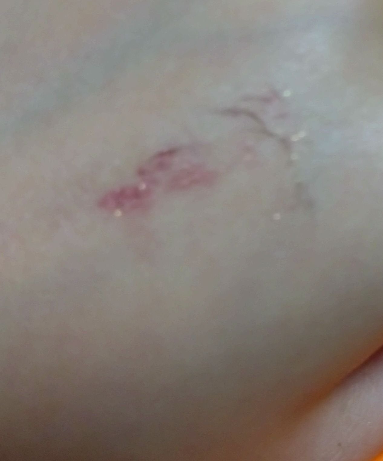 ラッシュエキスパンダー ロングロングロング EX/MAJOLICA MAJORCA/マスカラを使ったクチコミ(2枚目)