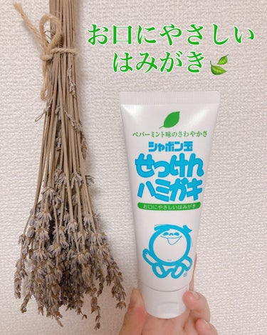 シャボン玉石けん シャボン玉せっけんハミガキのクチコミ「シャボン玉せっけんハミガキ💚

140g  418円

〔3つの特長〕
1. 泡立ちすぎないの.....」（1枚目）