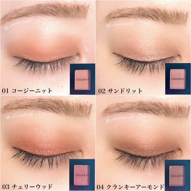 Eyes Fit Daily Shadow/CELEFIT/パウダーアイシャドウを使ったクチコミ（3枚目）