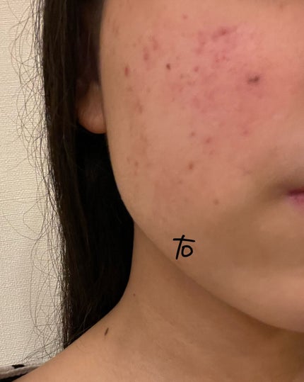 ã䜿ã£ãã¯ãã³ãïŒ1æç®ïŒ