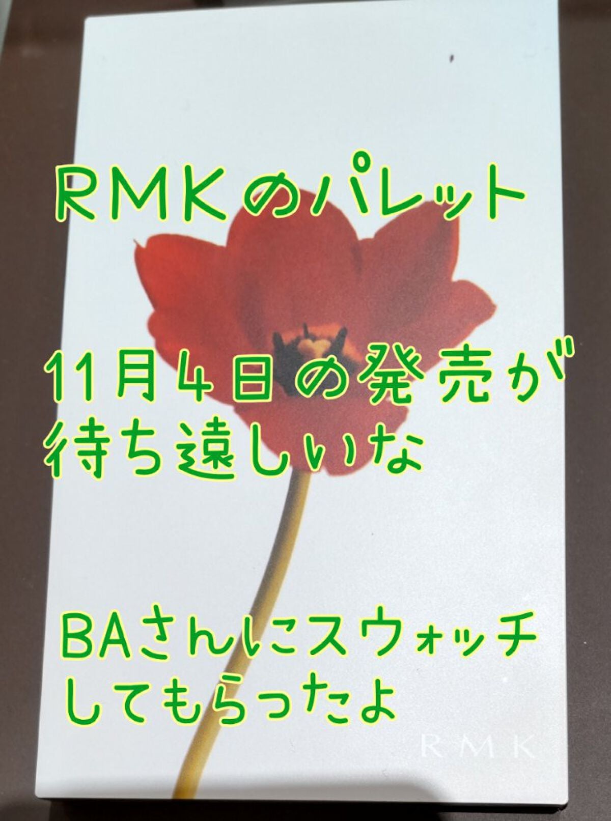 インジーニアス パウダーアイズ N/RMK/単色アイシャドウを使ったクチコミ(1枚目)