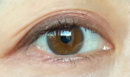 ビタートーンアイシャドウ/CEZANNE/パウダーアイシャドウを使ったクチコミ(4枚目)