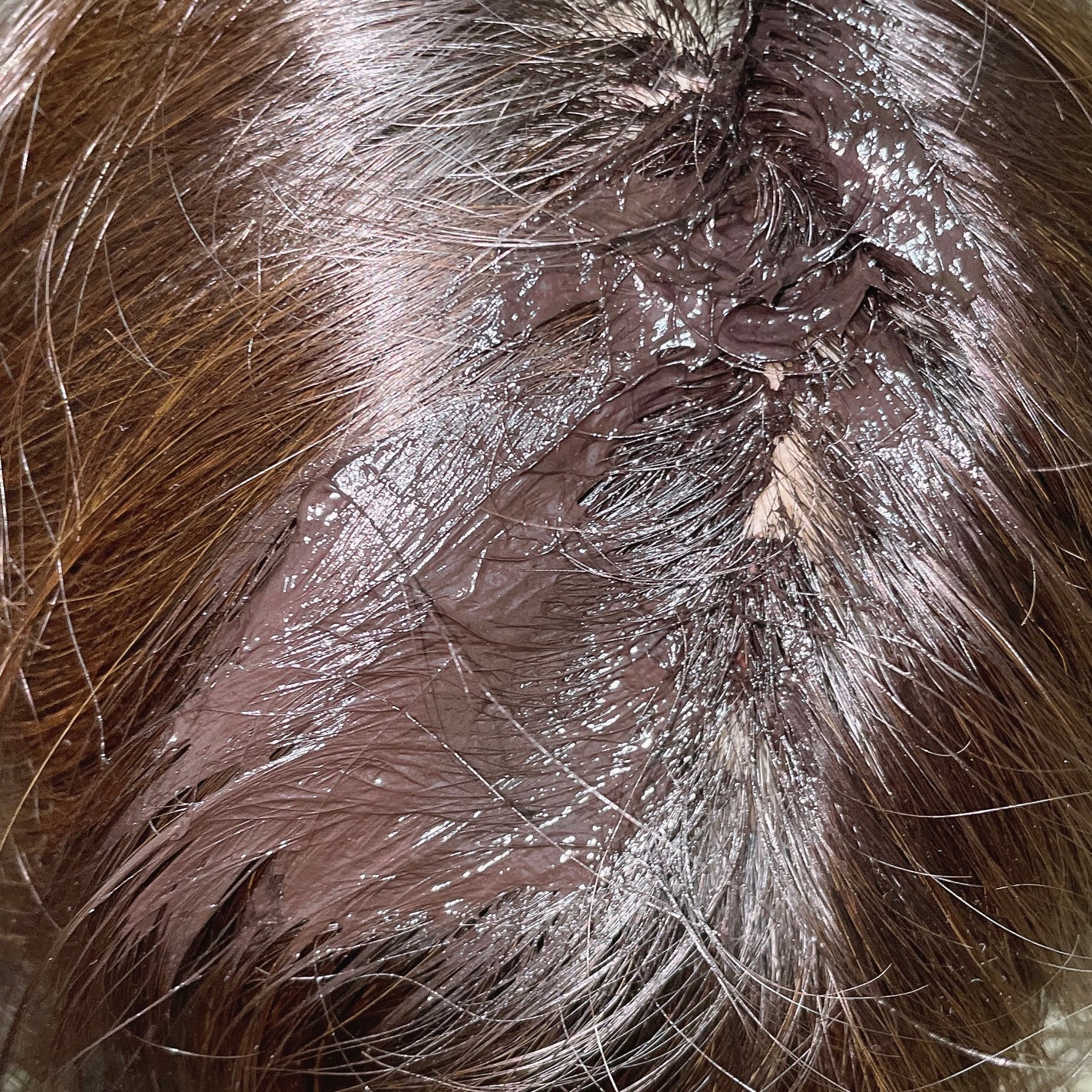 ベルタヘアカラートリートメント/BELTA(ベルタ)/ヘアカラーを使ったクチコミ(4枚目)