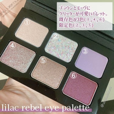 スプリング/サマー コレクション 限定アイパレット2種/shu uemura/アイシャドウパレットを使ったクチコミ（3枚目）