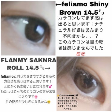 FLANMY 1day（10枚/30枚）/FLANMY/ワンデー（１DAY）カラコンを使ったクチコミ（2枚目）