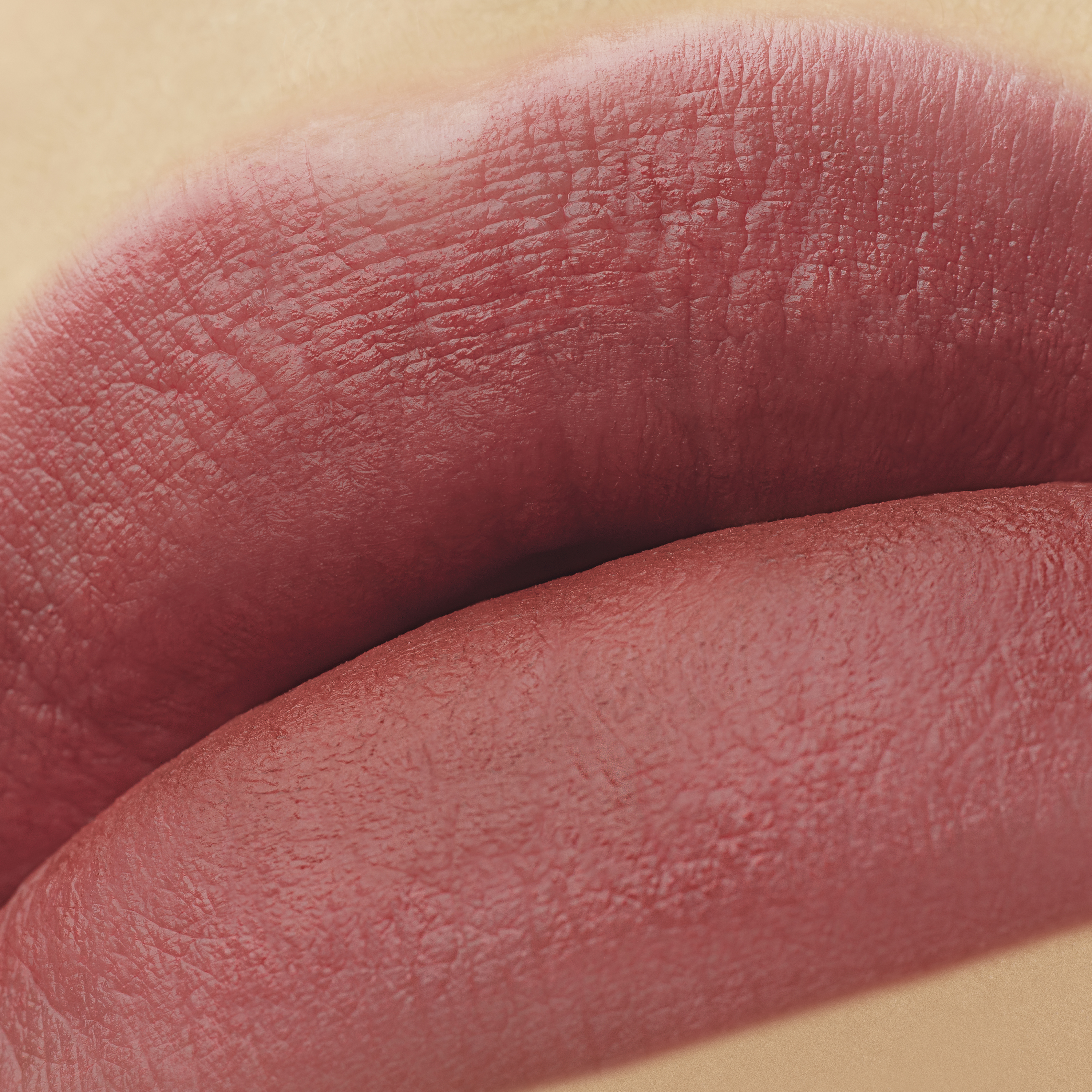 YSL ザ インクス ブラークリーム/YVES SAINT LAURENT BEAUTE/口紅を使ったクチコミ（2枚目）