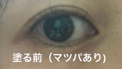ラッシュアディクト アイラッシュコンディショニングセラム/soaddicted/まつげ美容液を使ったクチコミ(3枚目)