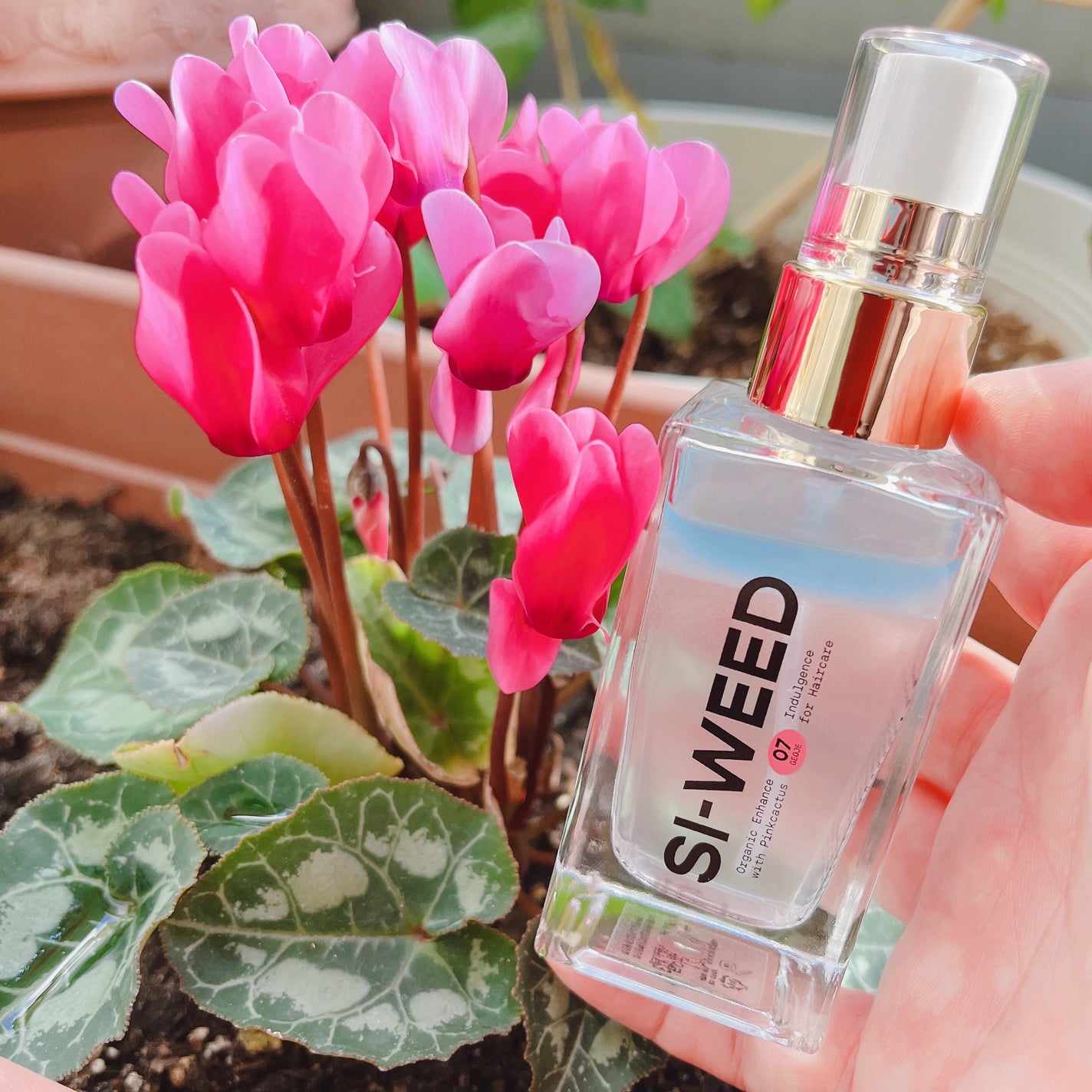 ORGANIC HAIR SI-WEED MIST/PINKGHOST/ヘアミストを使ったクチコミ(8枚目)