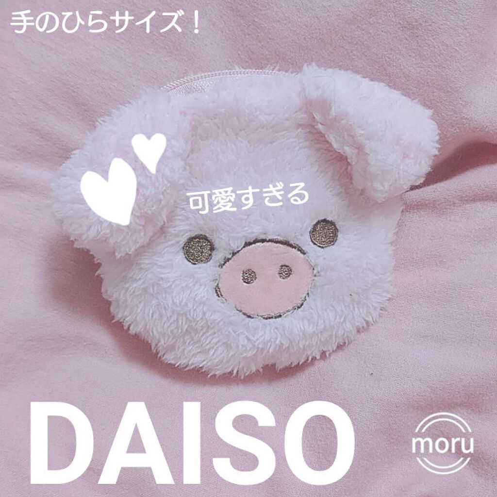 ポーチ/DAISO/その他を使ったクチコミ（3枚目）