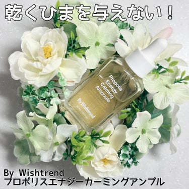 🍯乾くひまを与えない！
By Wishtrend
プロポリスエナジーカーミングアンプル

実はプロポリス系のスキンケア使ったことなかったのですが、今回By Wishtrendさんより機会をいただき初めて