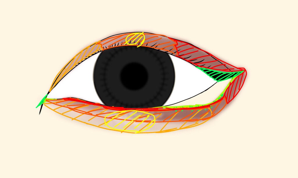 UR GLAM BLOOMING EYE COLOR PALETTE/U R GLAM/アイシャドウパレットを使ったクチコミ(5枚目)