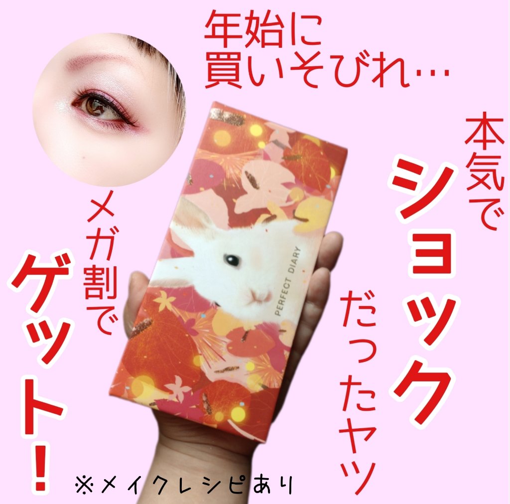 エクスプローラ12色 動物アイシャドウパレット/PERFECT DIARY/アイシャドウパレットを使ったクチコミ（1枚目）