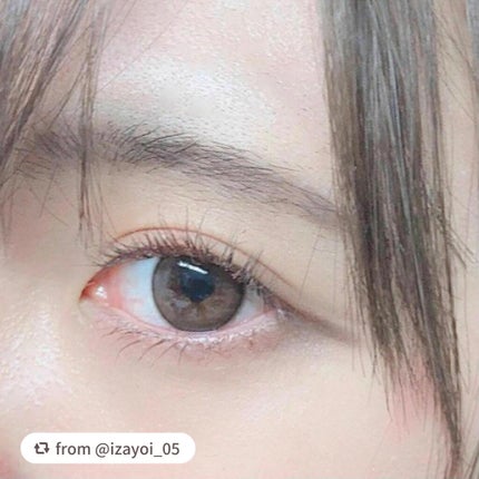 ノーズ&アイブロウパウダー/CEZANNE/パウダーアイブロウを使ったクチコミ(3枚目)