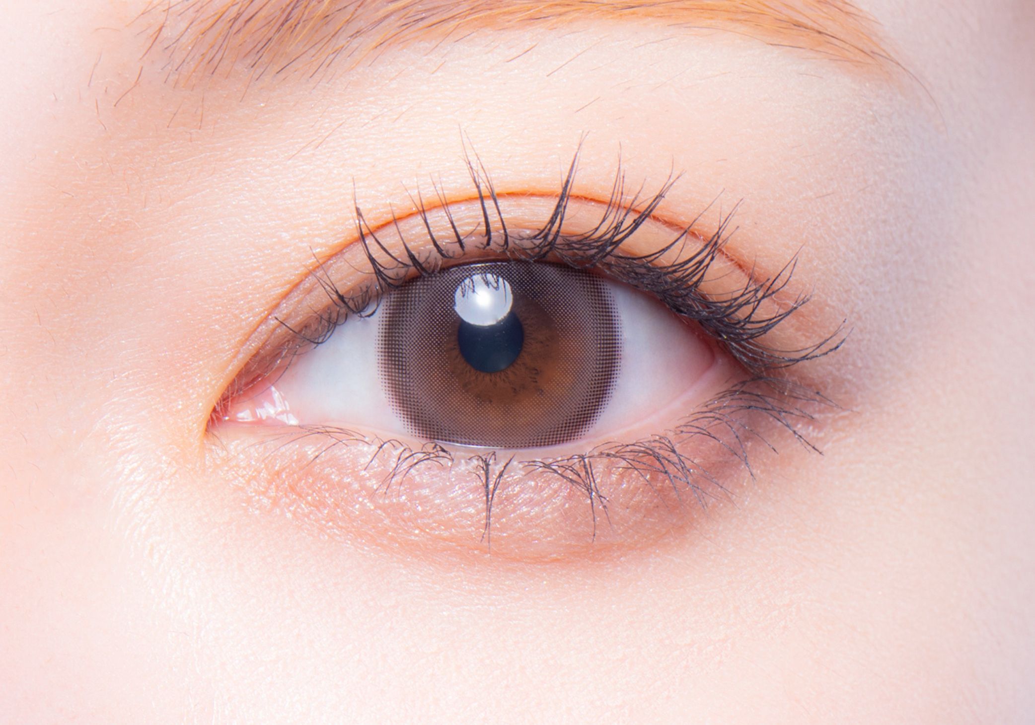 melotte 1day ダーリンフィグ