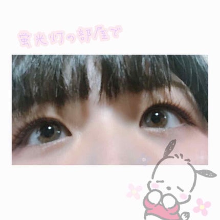 N’s COLLECTION 1day/N’s COLLECTION/ワンデー(1DAY)カラコンを使ったクチコミ(2枚目)